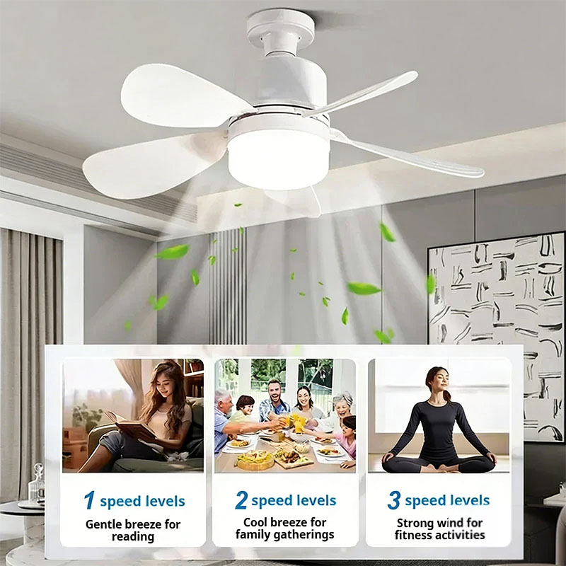 E27 Screw Ceiling Fan Light wi - огляд і ціна Decor Lighting Ceiling Fans