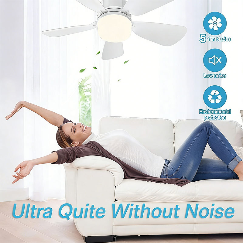E27 Screw Ceiling Fan Light wi - огляд і ціна Decor Lighting Ceiling Fans